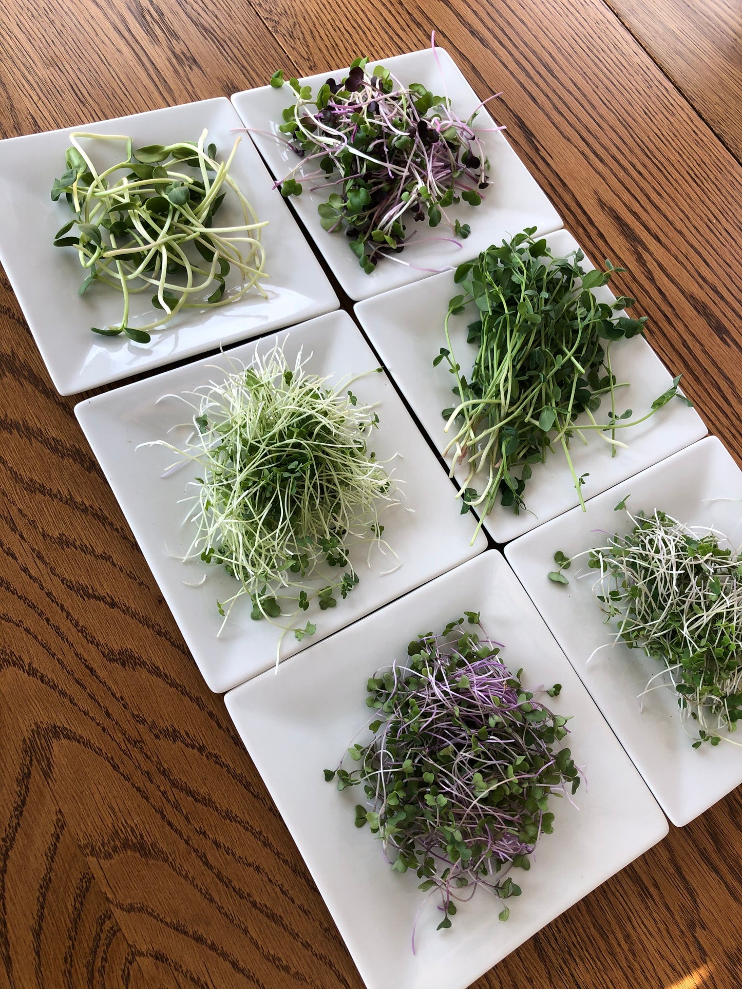 Salad Mix with Broccoli