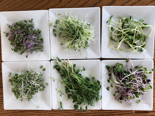 Salad Mix with Broccoli